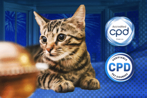 Advanced Certificate in Feline Fear, Anxiety & Aggression Online Course