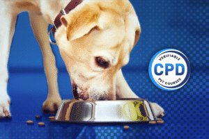Canine Nutrition and Its Relevance to Behaviour Webinar Online Course