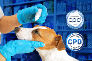 Higher Certificate in Canine Health & Well-being Online Course