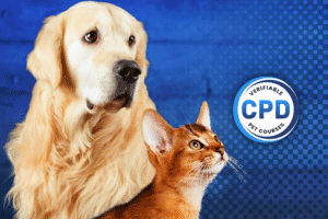 Introduction to Fear and Anxiety in Dogs and Cats Webinar Online Course