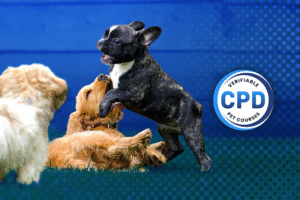 Running Successful Puppy Socialisation Events Webinar Online Course