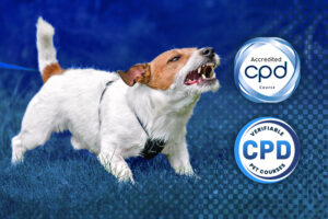 Higher Certificate in Canine Reactivity Online Course