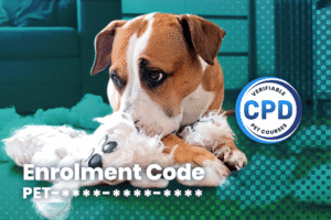 Canine Separation Anxiety Webinar