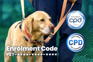 Certificate in Canine Handling & Understanding Communication Signals