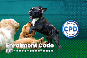 Running Successful Puppy Socialisation Events Webinar