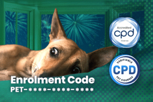 Advanced Certificate in Canine Fear, Anxiety & Aggression